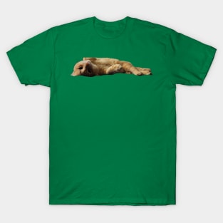 Tippy T-Shirt